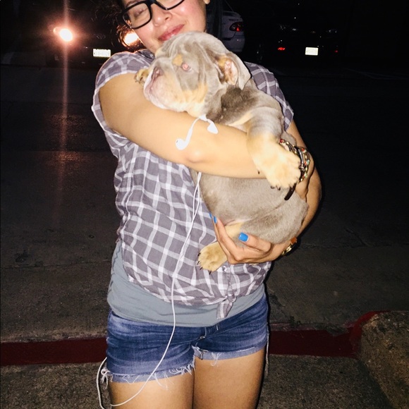 Meet your Posher, Alma - Picture 3 of 12